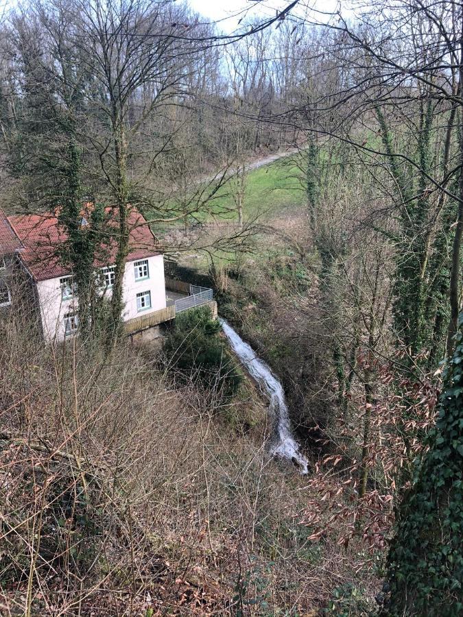 Ferienwohnung Waldruhe Хессиш-Ольдендорф Экстерьер фото
